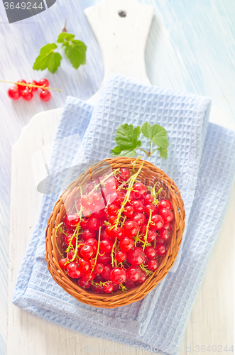 Image of red currant