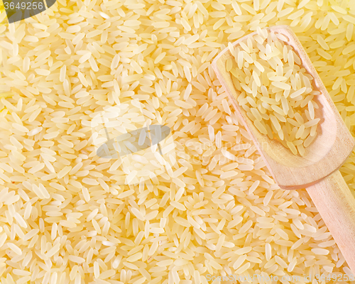 Image of raw rice