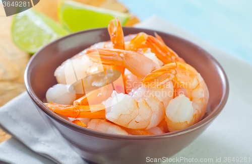 Image of shrimps