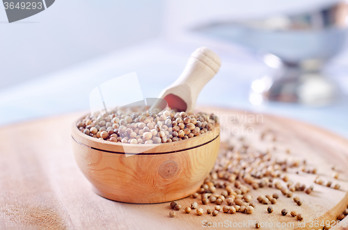 Image of coriander