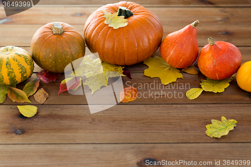 Image of close up of pumpkins on wooden table at home