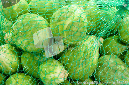 Image of Close up from Brussels sprouts