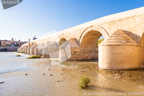 Image of Roman Bridge of Cordoba