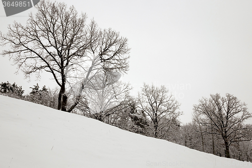 Image of Winter Park .  snow.