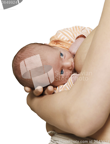 Image of Isolated baby on chest