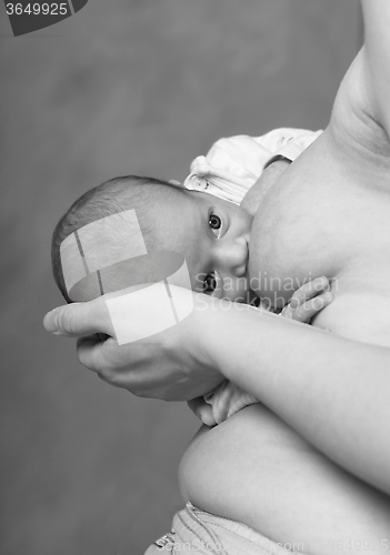 Image of Baby drinking mother's milk