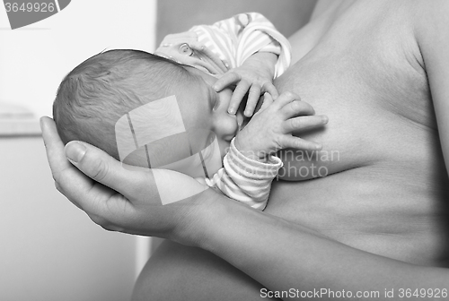 Image of Baby on chest