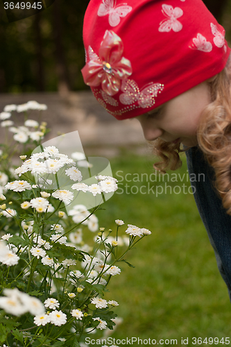 Image of late bloomers