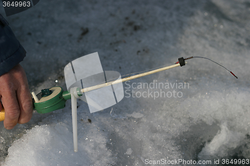 Image of winter mini rod