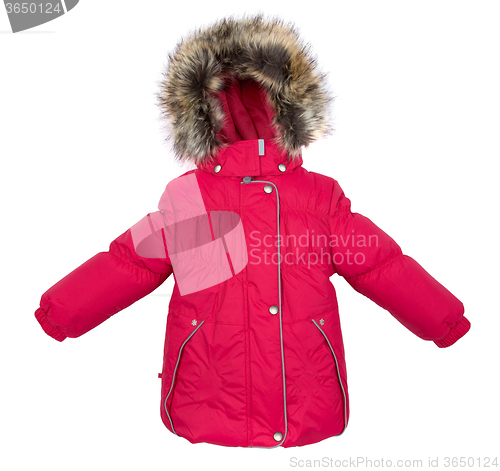 Image of Women winter jacket