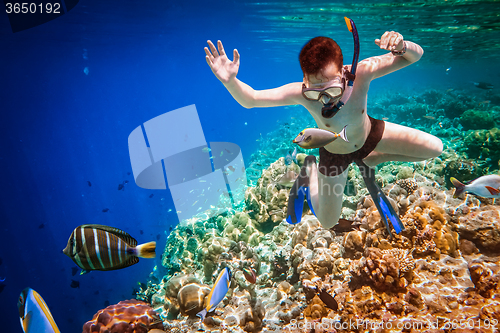 Image of Snorkeler Maldives Indian Ocean coral reef.