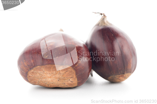 Image of Chestnuts with shell 