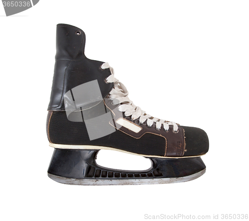 Image of Isolated Skates (with clipping patch)