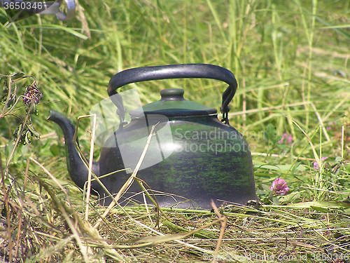 Image of  Kettle in the grass