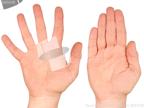 Image of Hands