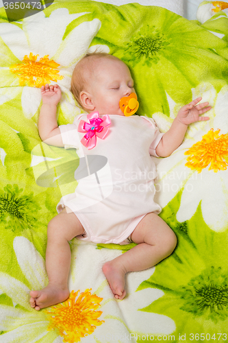 Image of Sleeping two month baby in the crib