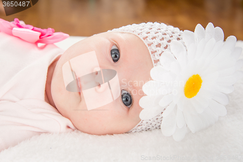 Image of Portrait of a baby girl with a bandage on his head and a flower