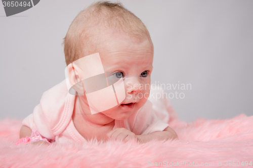 Image of The two-month girl lying on her stomach her head high