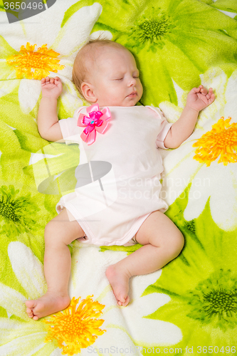 Image of Sleeping two month baby in the crib