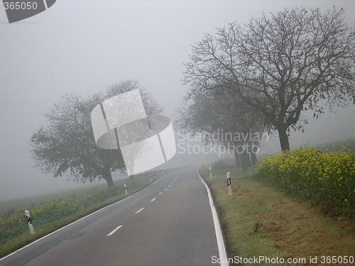 Image of misty road