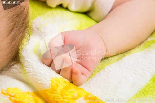 Image of Close-up of palm sleeping baby