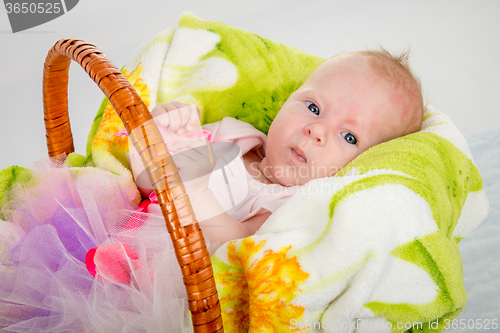 Image of The two-month baby lying in a basket on a blanket