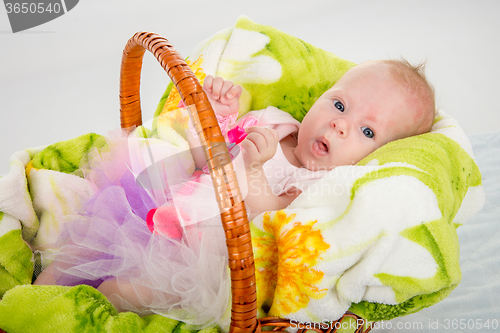 Image of The two-month baby lying in a basket
