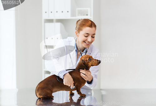 Image of doctor with stethoscope and dog at vet clinic