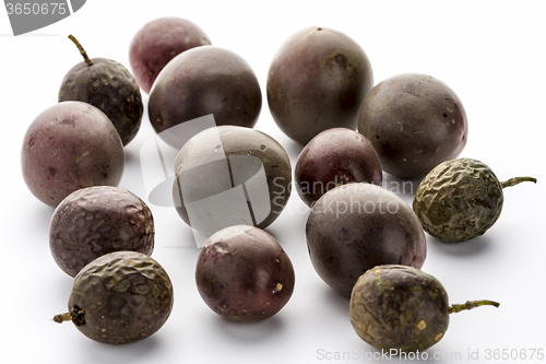 Image of Fourteen Whole Purple Passion Fruits On White 