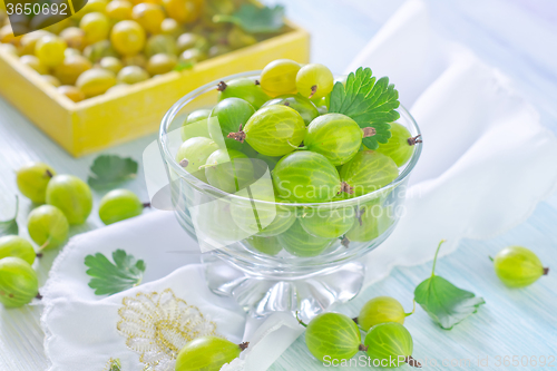 Image of gooseberry