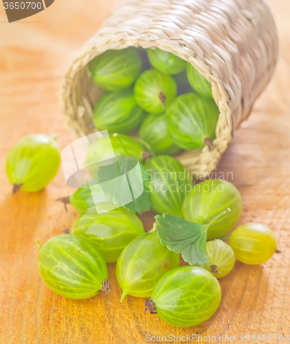 Image of gooseberry