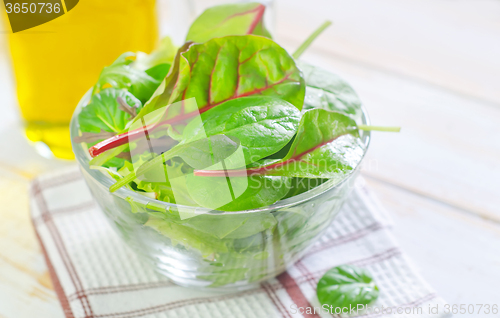 Image of fresh salad