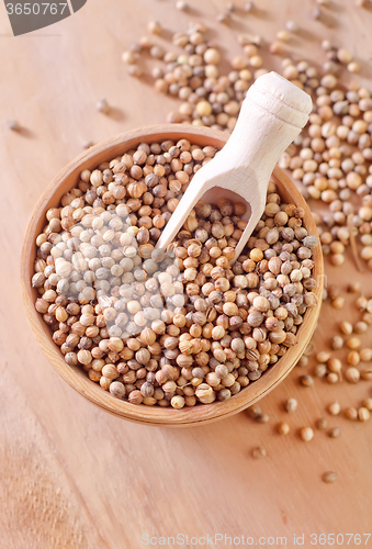 Image of coriander