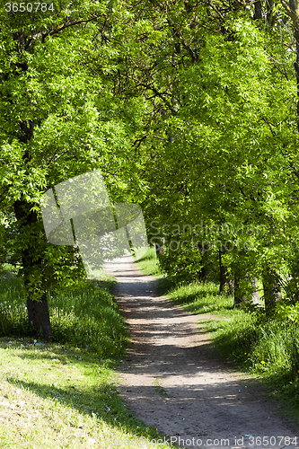 Image of Spring road . countryside  