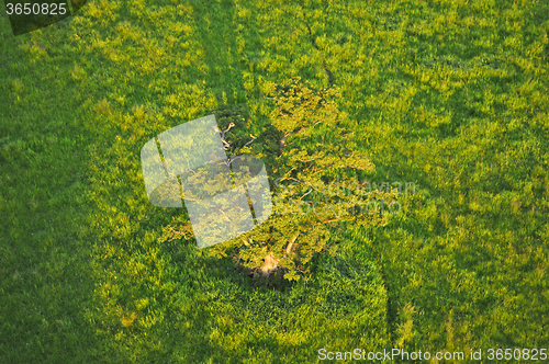 Image of Aerial View of Brandenburg, Germany