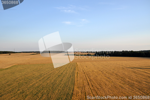 Image of Aerial View of Brandenburg, Germany