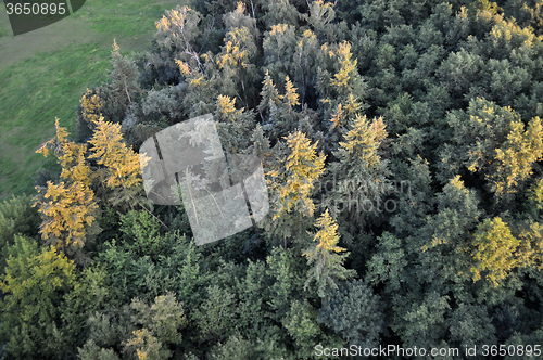 Image of Aerial View of Brandenburg, Germany