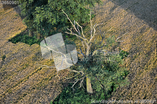 Image of Aerial View of Brandenburg, Germany