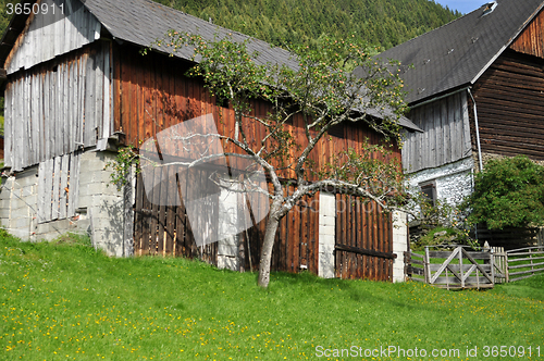 Image of Farm at a Mountain, Austria