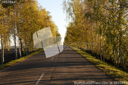 Image of Autumn road.  country  