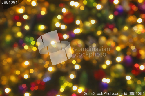 Image of Soft bokeh Christmas Lights