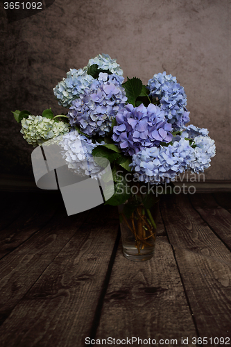 Image of Hydrangeas in vase springtime