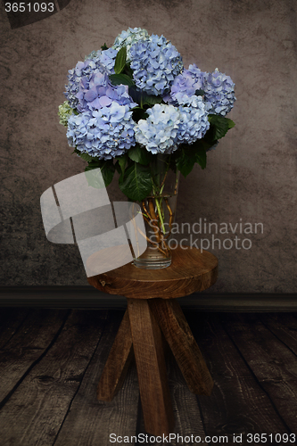 Image of Beautiful hydrangea flowers in a vase