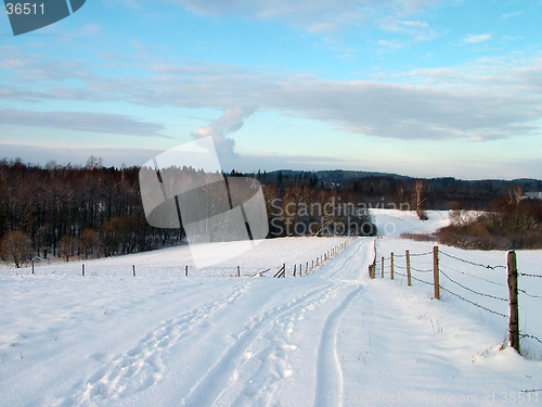 Image of winter landscape