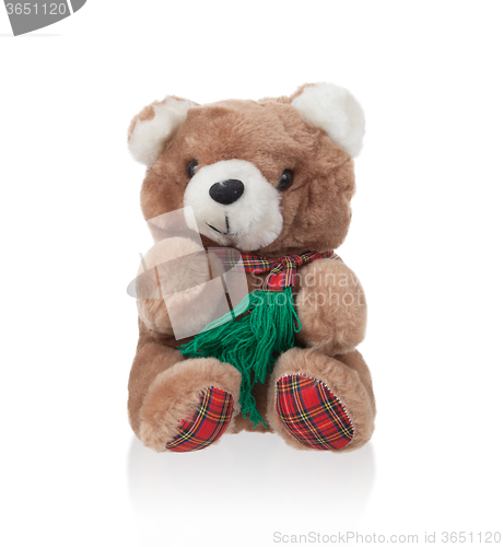 Image of Teddy bear with scarf