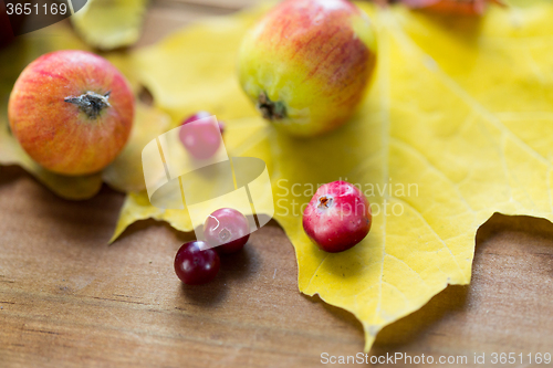 Image of close up of autumn leaves, fruits and berries