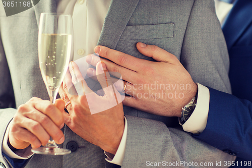 Image of close up of male gay couple with champagne glass