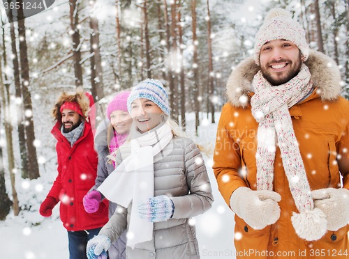 Image of group of smiling men and women in winter forest