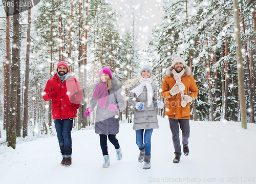 Image of group of smiling men and women in winter forest