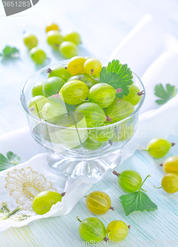 Image of gooseberry